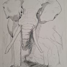 Elefante. Projekt z dziedziny R i sunek ołówkiem użytkownika jjdg - 26.04.2022