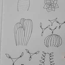 Martis Kursprojekt: Botanisches Zeichenheft: ein meditativer Ansatz . % marti_smarti tarafından hazırlanan Geleneksel illüstras, on, Eskiz çizimi, Çizim, Sulubo, a Resim, Botanik İllüstras, on, Ve Eskiz defteri projesi - 04.26.2022