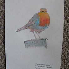 EUROPEAN ROBIN. Traditional illustration project by Brad Atchison - 04.27.2022