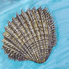 Meine Interpretation von Ernst Haeckel. Traditional illustration, Painting, and Drawing project by Anne F - 04.27.2022