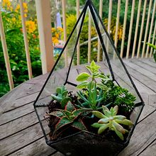 First Terrarium . Arts, and Crafts project by Jacqui Kennedy - 04.27.2022