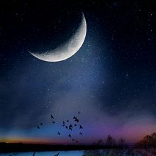 Magical Photomontage in Photoshop. Photograph, Post-production, Photo Retouching, Digital Photograph, Photographic Composition, and Photomontage project by marciocha - 04.28.2022