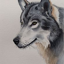 Il mio progetto del corso: Tecniche sperimentali di acquerello per principianti. Traditional illustration, Fine Arts, Watercolor Painting, and Naturalistic Illustration project by marialongo75 - 04.28.2022