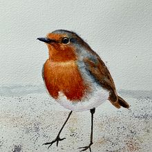 My project for course: Artistic Watercolor Techniques for Illustrating Birds. Projekt z dziedziny Trad, c, jna ilustracja, Malowanie akwarelą, R, sunek realist, czn, Ilustracja naturalist i czna użytkownika Mike Jacobs - 29.04.2022