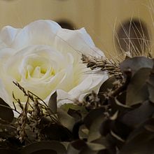 Mi Proyecto del curso: Edición fotográfica por lote en Lightroom Classic . % Natalia Munoz Pauli tarafından hazırlanan Fotoğraf Post Prodüksi, on, Ve Fotoğraf Rötuşlama projesi - 04.29.2022