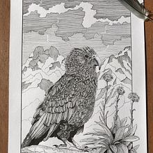 My project for course: Dip Pen and Ink Illustration: Capturing The Natural World. Un progetto di Bozzetti, Disegno, Disegno artistico, Sketchbook, Illustrazione con inchiostro e Illustrazione naturalistica di alisha_ink - 30.04.2022