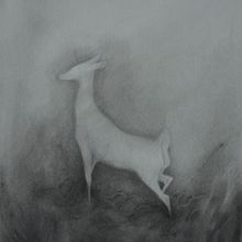 Il mio progetto del corso: Illustrare la natura: esplorazione creativa Ein Projekt aus dem Bereich Traditionelle Illustration, Malerei, Zeichnung, Aquarellmalerei, Illustration mit Tinte und Naturalistische Illustration von Martina Scarlata - 01.05.2022