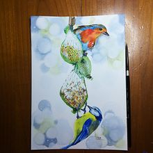 Mon projet du cours : Techniques artistiques d'aquarelle pour illustrer les oiseaux. Un proyecto de Ilustración tradicional, Pintura a la acuarela, Dibujo realista e Ilustración naturalista				 de sdwuil - 13.01.2022