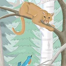 Mijn project van de cursus: Digitale illustratie: creëer een kleurrijke natuurscène. Un projet de Illustration traditionnelle, Illustration numérique et Illustration naturaliste de Romy Frans - 02.05.2022