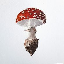 Mein Kursprojekt: Illustration natürlicher Elemente mit Aquarell. Traditional illustration, Watercolor Painting, and Naturalistic Illustration project by alex.lue - 05.02.2022