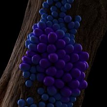 Inflate | Grow | Stretch. Motion Graphics, 3D Animation, and Concept Art project by Rada - 05.22.2022