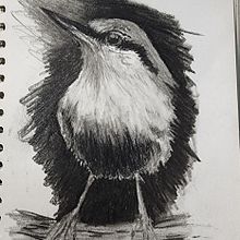 My project for course: Artistic Watercolor Techniques for Illustrating Birds-Tonal Drawing. Desenho projeto de MARIE SULLENS - 01.05.2022