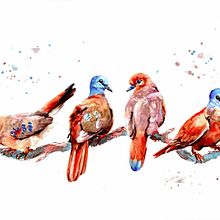 My project for course: Artistic Watercolor Techniques for Illustrating Birds. Traditional illustration, Watercolor Painting, Naturalistic Illustration, and Realistic Drawing project by Natalija Stojanović - 05.03.2022