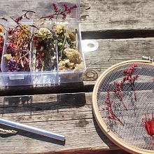 My project for course: Tulle Embroidery with Natural Flowers and Plants. Un progetto di Ricamo, DIY, Design floreale e vegetale e Textile Design di eta2nd - 03.05.2022