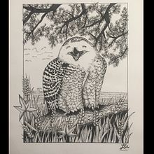 Ilustrando ando. Sketching, Drawing, Artistic Drawing, Sketchbook, Ink Illustration, and Naturalistic Illustration project by Yessica Leaño - 05.05.2022