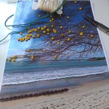 Meu projeto do curso: Introdução ao bordado em fotografias: crie imagens com texturas. Un progetto di Fotografia, Papercraft, Ricamo, DIY e Textile Design di clariayres - 04.05.2022