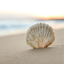 Matka - mój projekt z kursu: Wprowadzenie do pisania narracji. Un projet de Écriture, Stor, telling, Narration, Écriture de fiction , et Écriture créative de ari_saan - 04.05.2022