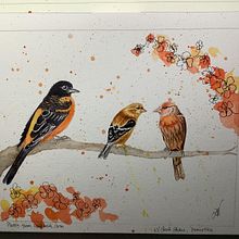 My project for course: Artistic Watercolor Techniques for Illustrating Birds. Traditional illustration, Watercolor Painting, Realistic Drawing, and Naturalistic Illustration project by lilylynn - 05.04.2022