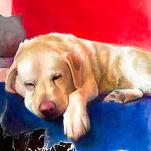 Labrador Retriever portrait. Un progetto di Illustrazione tradizionale, Disegno a matita, Disegno di ritratti, Disegno realistico, Disegno artistico, Disegno con matite colorate e Pittura ad acquerello di Mentiradeloro Esther Cuesta - 05.05.2022