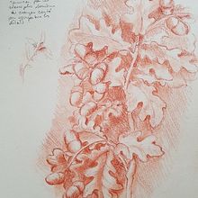 Mon projet du cours : Portrait classique : la méthode du génie universel de la Renaissance. Fine Arts, Sketching, Drawing, Portrait Drawing, Realistic Drawing, and Artistic Drawing project by Sophie - 07.15.2022