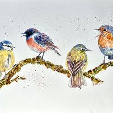 My project for course: Artistic Watercolor Techniques for Illustrating Birds. Un proyecto de Ilustración tradicional, Pintura a la acuarela, Dibujo realista e Ilustración naturalista				 de Judy - 05.05.2022