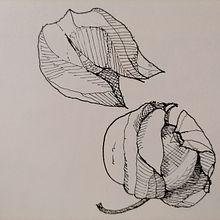 My project for course: Illustrated Diary: Fill Your Sketchbook with Experiences. Un projet de Illustration traditionnelle, Esquisse , Dessin, Carnet de croquis et Illustration à l'encre de bejuleo1 - 07.05.2022