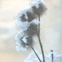 Progetto mostra - Sussurri nel bosco. Un progetto di Pittura, Creatività, Disegno, Disegno realistico e Disegno con matite colorate di Serena Zanardo - 08.05.2022