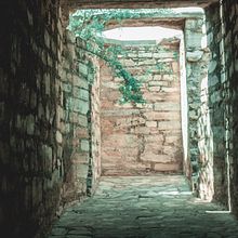 Sentimientos capturados. Un projet de Photographie de Ernesto Alejandro - 28.12.2021