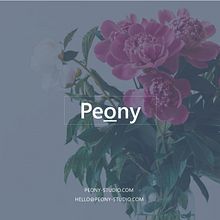 My project for course: Presentation Design: Create a Professional Template Ein Projekt aus dem Bereich Designverwaltung, Grafikdesign, Informationsdesign, Marketing, Kommunikation und Präsentationsdesign von Julia Averkieva - 04.05.2022