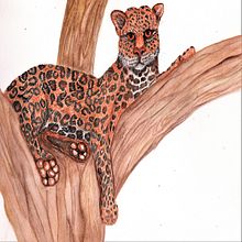 jaguar. Een project van Traditionele illustratie, Aquarelschilderen, Realistische tekening y Naturalistische illustratie van JOVI CÁRDENAS BENAVIDES - 06.05.2022