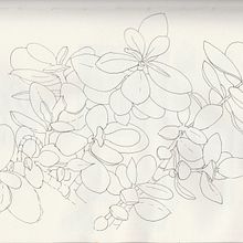 My project for course: Botanical Sketchbooking: A Meditative Approach. Projekt z dziedziny Trad, c, jna ilustracja, Sketching,  R, sunek, Malowanie akwarelą, R, sunek botaniczn i Sketchbook użytkownika Vicky Hawkins - 11.05.2022