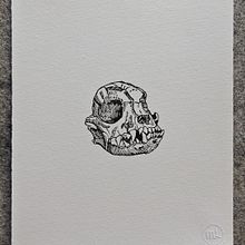 Serie Cráneos. Sellos . Un projet de Gravure , et Beaux Arts de Maria López - 12.05.2022