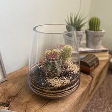 Mi proyecto del curso: Arte vegetal: crea tu propio terrario abierto Ein Projekt aus dem Bereich Innendesign, L, schaftsbau, Dekoration von Innenräumen, DIY und Blumen- und Pflanzendesign von natalia_mattmann - 10.05.2022