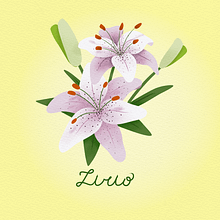 Ilustración floral. Un progetto di Illustrazione tradizionale di María Gallardo - 13.05.2022