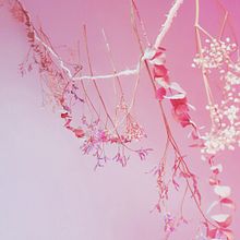 @mintha_floral. Photograph project by Mintha Floral - 05.13.2022