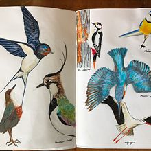 My project for course: Illustration Techniques to Unlock your Creativity. Projekt z dziedziny Design, Trad, c, jna ilustracja,  Sztuki piękne,  Malarstwo, Kreat, wność, Kreat, wne zabaw, z dziećmi i Sketchbook użytkownika joanna_chopard - 13.05.2022