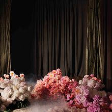 La Peonia | Botanical Set Design. Design, Set Design, Advertising, Photograph, and Art Direction project by Valentina Teinitzer (Studio de Pasquale) - 05.13.2022
