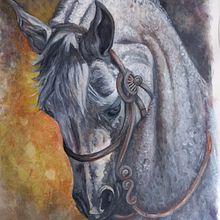 Cavalo Árabe. Traditional illustration project by Eliane da Silva Littger - 04.28.2022