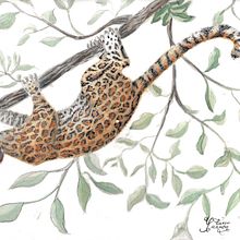 Mi proyecto del curso: Ilustración científica de animales en acuarela Ein Projekt aus dem Bereich Traditionelle Illustration, Aquarellmalerei, Realistische Zeichnung und Naturalistische Illustration von Tania Santiago - 14.05.2022