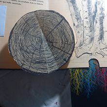 El herbario de Silvia Ein Projekt aus dem Bereich H, werk, Verlagsdesign, Kartonmodellbau, Buchbinderei und Kreativität mit Kindern von Nicolás Abadie - 14.05.2022