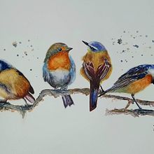 Mi proyecto del curso: Acuarela artística para ilustración de aves . % Rosa Angélica Sánchez tarafından hazırlanan Geleneksel illüstras, on, Sulubo, a Resim, Gerçekçi Çizim, Doğalcı İllüstras, Ve on projesi - 05.15.2022