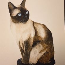 Meu projeto do curso: Retratos expressivos de animais em aquarela. Un projet de Illustration traditionnelle, Aquarelle, Dessin réaliste et Illustration naturaliste de Silvia Madeira - 15.05.2022