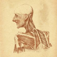 Boat Man. Fine Arts, Sketching, Drawing, Portrait Drawing, Realistic Drawing, and Artistic Drawing project by Uranium Sorcerer - 05.15.2022