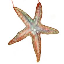 Mi proyecto del curso: Ilustración de universos marinos en acuarela. Un proyecto de Ilustración tradicional, Pintura, Pintura a la acuarela e Ilustración naturalista				 de Carme Farrerons - 16.05.2022