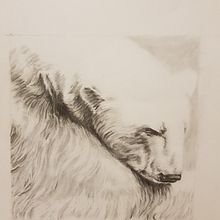 Pencil Drawings Part 2. Traditional illustration project by Kevin Walsh - 05.16.2022