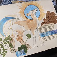 My project for course: Animal Illustration: Capturing Wildlife in a Sketchbook. Traditional illustration, Collage, Sketchbook, and Naturalistic Illustration project by astridcoxon - 05.16.2022