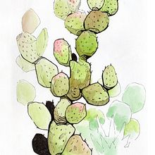 Nature studies. Sketchbook, and Traditional illustration project by Johanna Forster - 05.17.2022