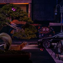 Mon projet du cours : Les secrets du photomontage et de la retouche créative. Photograph, Photograph, Post-production, VFX, Photo Retouching, Fine-Art Photograph, Photographic Composition, and Photomontage project by EMMANUEL OGUNSEMORE - 05.17.2022