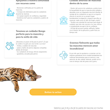 Bongo Site. UX / UI, Design, and Web Design project by carlos_equiz98 - 05.18.2022