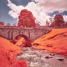 Mi proyecto del curso: Fotografía infrarroja: captura el mundo de lo invisible . % Ricardo Moreno Cortes tarafından hazırlanan Fotoğrafçılık, Fotoğraf Rötuşlama, Dijital Fotoğrafçılık, Açık Hava Fotoğrafçılığı, Mimarlık Fotoğrafçılığı, Ve Renk Teorisi projesi - 05.18.2022